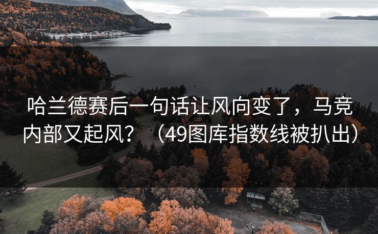 哈兰德赛后一句话让风向变了，马竞内部又起风？（49图库指数线被扒出）