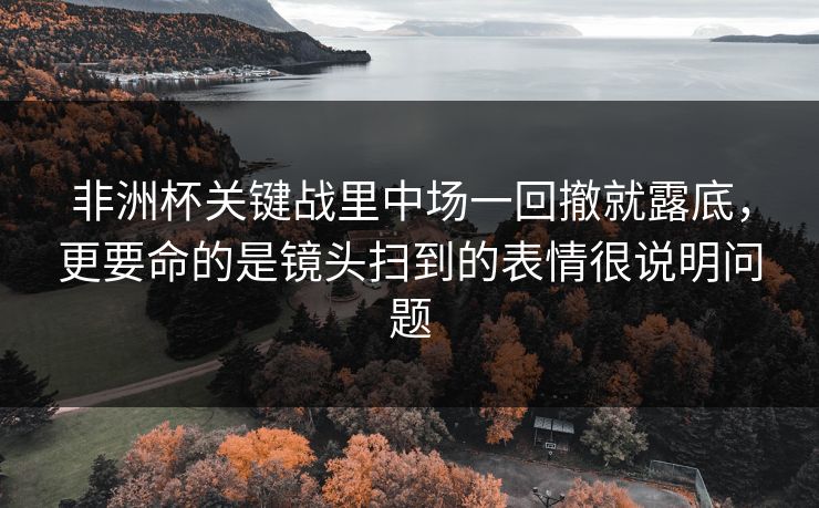 非洲杯关键战里中场一回撤就露底，更要命的是镜头扫到的表情很说明问题