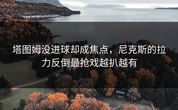塔图姆没进球却成焦点，尼克斯的拉力反倒最抢戏越扒越有